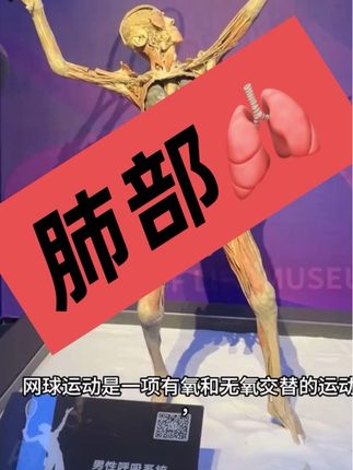 肺部🫁呼吸#沈阳EX未来科技馆#沈阳ex未来科技乐园 #沈阳EX机器人