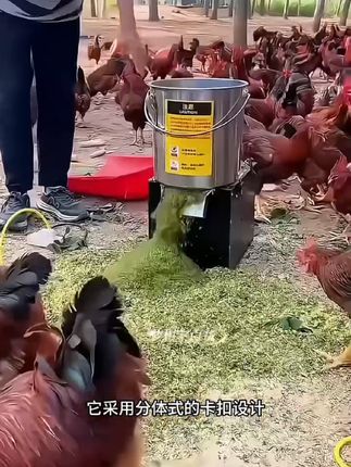 #养殖好帮手 #碎菜机 #饲料搅拌机