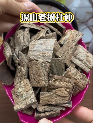 精选老树杜仲#草本植物 #好物推荐🔥 家里得顶梁柱,无论男女都要好好爱