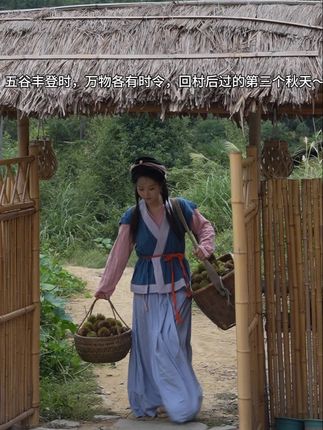 万物各有时令,最是烟火慰平生~#我的乡村生活 #种田文 #板栗 #美的寻味pro#京东新品