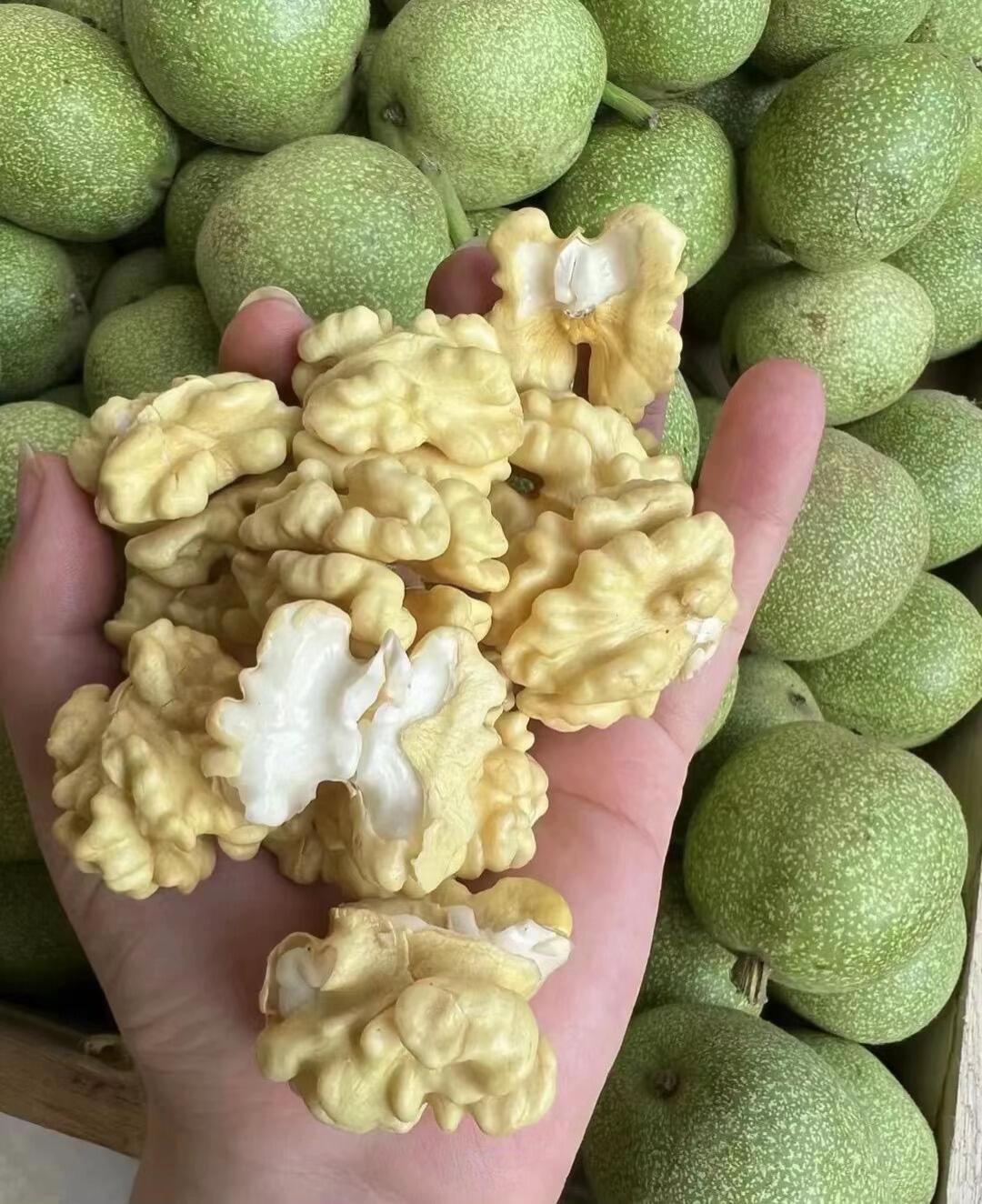 今天的你吃新鲜核桃了吗?好吃健康又营养~ 湿核桃新鲜脆嫩,香甜,不油,不腻,营养健康,生吃,榨核桃汁凉拌炖汤都好吃~