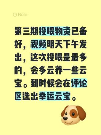 云宝云宝,快乐不倒,云养时光没烦恼!#真实生活分享计划 #云养河南人 #云养 #木鱼云养社 #木鱼投喂站