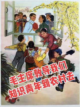 毛主席教导我们说 知识青年到农村去 #知青下乡 #年画收藏#红色收藏