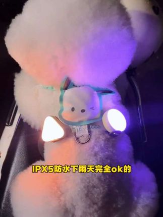 炫酷没边的遛狗小夜灯!六种不同灯光还有爆冲指示~明亮但不刺眼!#金毛 #遛狗灯 #狗狗