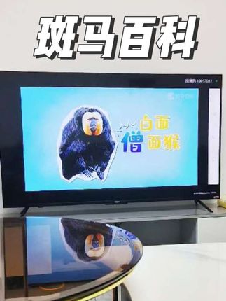 今天和孩子一起看了白面僧面猴,和大熊猫,真的太好玩咯#斑马百科 #科普 #动物的迷惑行为 #育儿