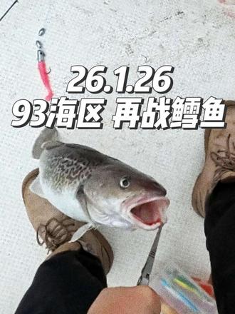 听说最近鳕鱼惨案挺多,我再给大家去试试水,是成还是败,拭目以待!香蕉鱼再战93海区!#原来钓鱼才是抖音运动顶流 #钓鱼的乐趣只有钓鱼人懂 #鳕鱼 #青岛海钓 @青岛子韬海钓