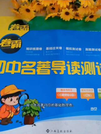 初中名著阅读测试卷#名著测试卷 #中考名著考点