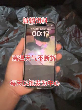 蚯蚓高温不断货 每天都可批发 明天快递继续打包发货#蚯蚓#户外