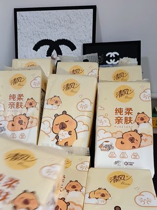 #清风 他们家纸品质真的没话说,到手整整10大提,平时没有活动的时候真有点舍不得买,现在趁着有活动真的可以囤起来~#清风抽纸 #悬挂抽纸 #抽纸 #好物推荐🔥