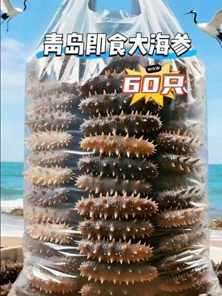 家人们快瞧!青岛即食大海参绝绝子!个大饱满,刺儿挺拔,肉质厚实鲜味爆棚,开袋即食,不用泡发不用煮,方便到飞起。打工人配粥当早餐,营养快捷还顶饱;宝妈用来炖汤,全家滋补,Q弹入味还满是胶原蛋白。性价比直接拉满,把这份来自大海的营养馈赠赶紧带回家吧~ #青岛即食海参 #海参 #滋补好物 #早餐必备