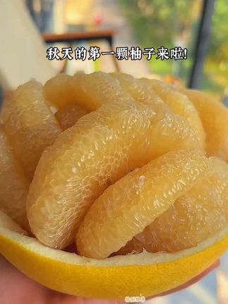 没有虾线的柚子我也是吃到了不沾皮,真的不沾皮,它真的超级丝滑,巨好剥!你看它的果肉,晶莹剔透,饱满细腻的,一口爆汁真的超级无敌好吃!它是来自咱们广西的水晶柚子,一年就吃这一季,它皮薄肉厚,粒粒饱满。吃水又很充裕,纯甜无酸,真的巨好吃!柚子还是低糖水果,膳食纤维和维生素都非常丰富,管理期的姐妹也可以放心吃。#柚子#文旦柚#脆甜多汁#果肉细腻无渣 #强烈推荐