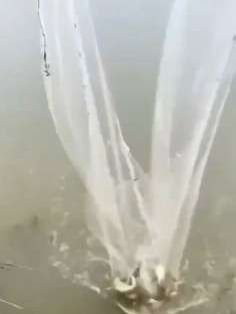 一款抓鱼特别好用的渔网,大鱼小鱼都能抓,名叫月亮网!只要扔到水里就能收获满满!#户外抓鱼 #月亮网#渔网 #真实户外