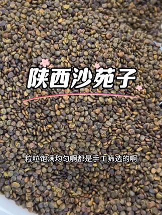 正宗陕西沙苑子#产地直发品质保证 #颗粒饱满无杂质 #泡茶煮水都合适