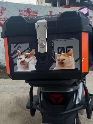 #猫咪meme 网红迷因meme 猫咪表情包贴纸!#猫咪的迷惑行为 #猫咪日常 #太可爱 #喵星人的日常