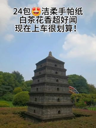 【洁柔白茶手帕纸】24包直接囤!天然白茶香超治愈~纸质软乎乎像云朵☁️,随身带几包,擦手擦脸都超舒服!#白茶花香 #洁柔 #手帕纸 #生活用纸 #低价好物