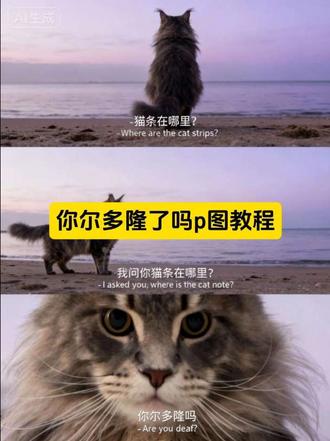 我要吃冻干,你耳朵龙吗,我要吃猫条,你尔多隆吗,我要吃鱼,你尔多龙吗?宠物海边三宫格 宠物海边三宫格指令 宠物海边三宫格图片 宠物海边三宫格教程 海边三宫格豆包指令 宠物海边三宫格文案 宠物海边三宫格写真 宠物海边三宫格动态 三宫格照片拼图海边 宠物海边三宫格写真教程 豆包p图三宫格口令 山的那边是什么ai生成猫咪指令 猫咪海边三宫格拼图 猫咪三格拼图怎么拍 豆包ai图片生成口令宠物#宠物 #猫咪 #狗狗 #萌宠 海的那边是什么你不必告诉我雨姐 缅因猫猫爬架 山的那边是什么ai生成指令 猫咪海边合照原图 豆包ai图片生成口令 猫咪豆包p图指令 海的那边是什么ai指令猫咪 山的那边是什么ai生成狗狗指令 猫电影大片ai 猫咪海边豆包口令 豆包p图三宫格指令 #即梦ai 猫咪海边三宫格拼图 猫咪ai特效教程 山的后面是什么猫咪指令 山的那边是什么ai生成猫咪教程 海的那边是什么ai指令豆包 缅因猫零食 猫咪海边ai口令 海的那边是什么ai指令 山的后面是什么ai生成猫咪指令 猫咪三宫格拼图 海的那边是什么猫咪版指令 豆包p图指令 猫咪ai大海 山的那边是什么ai生成 海的那边是什么豆包ai 豆包ai图片生成指令猫咪 猫电影大片ai口令 猫咪海边ai 海的那边是什么你不必告诉我 豆包海的那边是什么指令 缅因猫在同类眼中漂亮吗 猫咪海边合照原图 山的那边是什么ai生成猫咪文案 海的那边是什么豆包p图指令 豆包ai图片生成指令 猫咪ai特效教程 海的那边是什么 猫咪ai照教程 豆包ai生成照片 海的那边是什么豆包 猫咪ai特效指令 山的那边是什么ai生成猫咪 豆包海边照片怎么描述 豆包ai图片生成指令海的那边是什么 海的那边是什么猫咪版