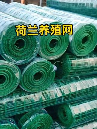 鸡鸭鹅养殖围栏网,圈山圈地种植养殖围栏网#果园围网#圈地养殖网#养殖围网#鱼塘防护网#围栏网养殖围 户外养殖专用@巨量千川 @DOU+小助手 @DOU+上热门 @抖音创作小助手