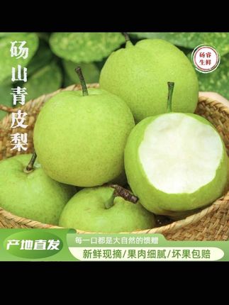 唐艺推荐这个青皮蜜梨,真的好好吃!个头又大又炮满,脆甜无渣一口就爆汁,炎热夏天怎么少得了梨呢 冷藏一下更爽哦,喜欢吃梨的姐妹们快冲鸭!!#超便宜超划算 #新鲜应季水果 #优质农产品#砀山梨 #梨