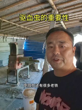 驱血虫的重要性