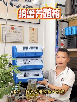 这是一款多功能螃蟹养殖箱,三槽独立排水,可避免交叉污染,可以养殖青蟹梭子蟹大闸蟹澳龙甲鱼等等。欢迎留言咨询了解#青蟹养殖 #螃蟹养殖 #源头实力厂家 #螃蟹养殖设备