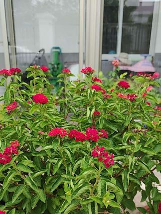 #早秋新款 #减龄百搭 #显贵穿搭 #时尚洋气百搭 @DOU+上热门