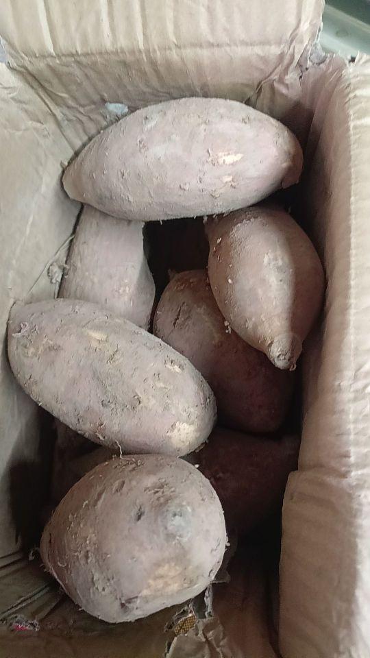 物流速度:快 收到货 跟视频红薯颜色不一样#我在抖音买买买