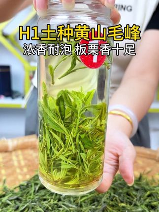 好茶不过百!2025新茶土种黄山毛峰现在淡季清货!全部从黄山茶厂直发!#召唤茶友 #口粮茶推荐 #土种黄山毛峰 #绿茶