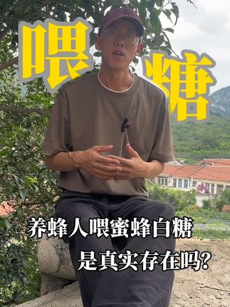 网传养蜂人喂蜜蜂“白糖”,这个是真实存在的吗❓❓❓#养蜂人 #蜂蜜 #科普