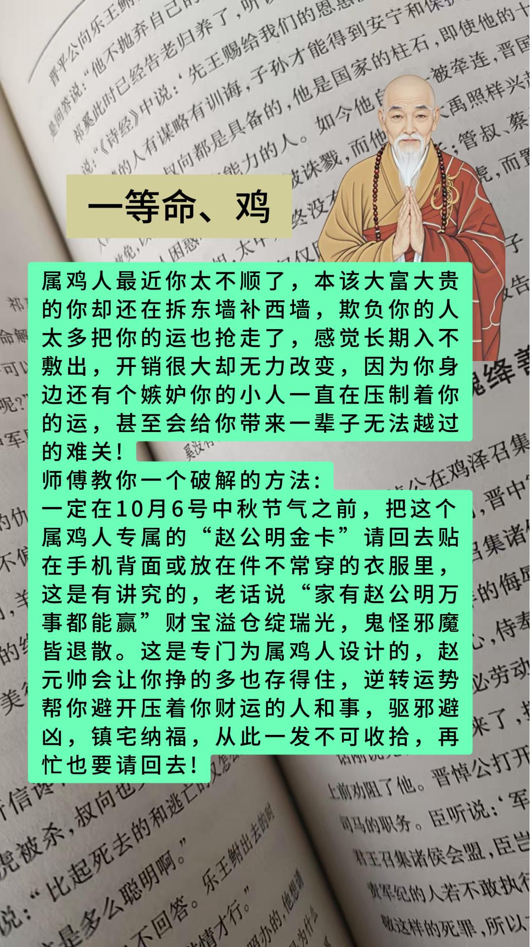 #属鸡的#鸡#生肖鸡