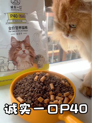 #诚实一口 #猫粮推荐 尝鲜装太合适了🥳快给家里#猫咪 多囤点儿!#萌宠好物 #猫粮