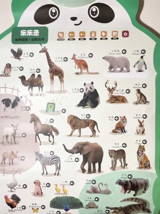 宝宝四个月开始,语言发育黄金期,可以给他准备一个这样的早教有声挂图,多跟宝宝互动,宝宝学,话快还能提高认知能力#早教挂图有声 #幼儿启蒙 #边玩边学 #益智早教 #宝宝启蒙