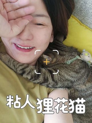 不是,怎么没人告诉是养猫是这个样子的? 会被小猫死死抱住!早知道我早养了! 捡了三只都是天使,猫猫好猫猫妙 #萌宠出道计划 #狸花猫 #猫咪 #我和我的猫 #猫咪的迷惑行为
