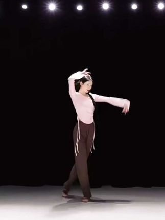 善然堂现代舞长袖V领印花上衣形体服秋新款身韵中国舞蹈练功服女