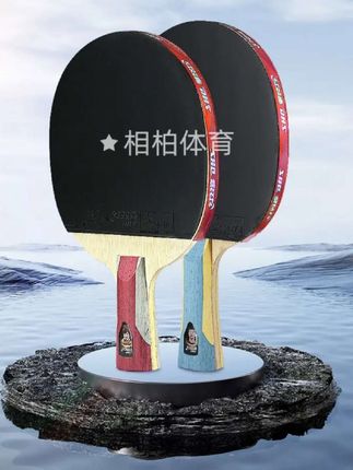 DHS/红双喜六星乒乓球拍长柄单拍6星7星兵乓球拍乒乓球拍红双喜#乒乓球拍#红双喜乒乓球拍 #快乐乒乓球🏓#体育精神 @DOU+上热门 @巨量千川