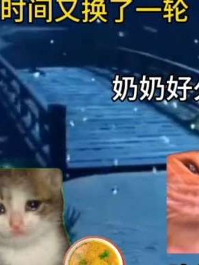 人或许没有转世,但却是两颗保家卫国的心,只为中国 #喵meme小剧场 #烈士 #真实故事