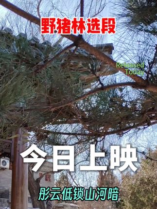 弘扬国粹分享好戏#手机原创摄影 #弘扬国粹#百听不厌