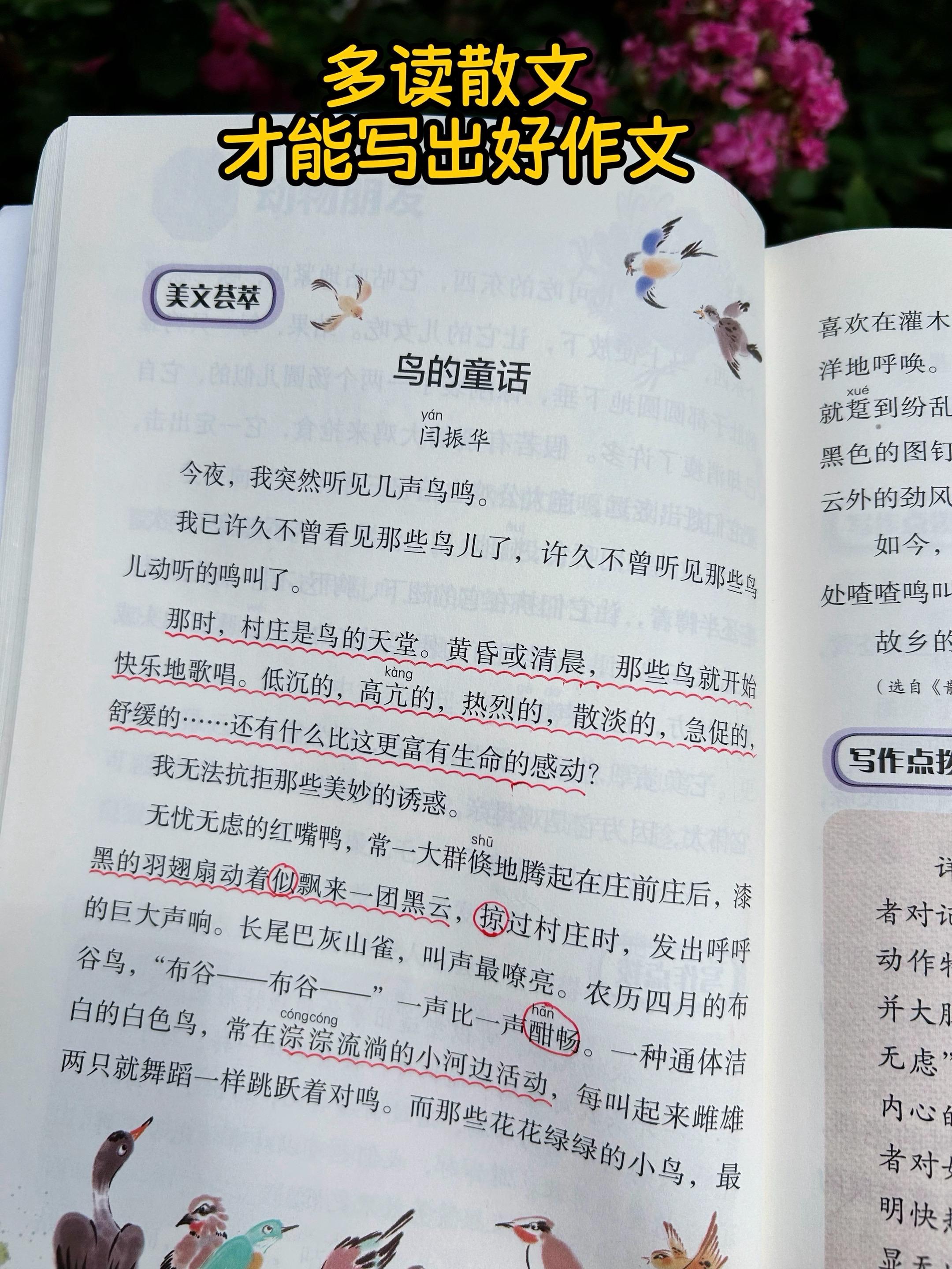 孩子上三年级了,要多读名家散文!多读名家散文,品文字之美,书中每篇佳作都是写作的灵感源泉,多读多记多悟,提升写作技巧,积累写作素材,让文章绽放光彩!#作文素材 #散文 #课外阅读 #图文热点来了 #好书分享