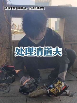 钓到清道夫如何处理#清道夫奇葩试验 #清道夫的生命力有多顽强 #钓鱼的乐趣只有钓鱼人懂 #青年创作者成长计划 #青年创作者成长计划