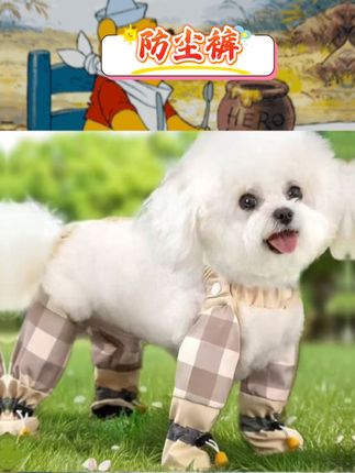 给比熊、泰迪穿上超合适,洋气又实用。连鞋设计超贴心,全方位防脏,还能防虫,带狗狗出门再也不怕它把身上弄脏啦,回家擦擦裤子就好😉 #狗狗防尘裤 #宠物防脏裤 #比熊泰迪 #养狗好物