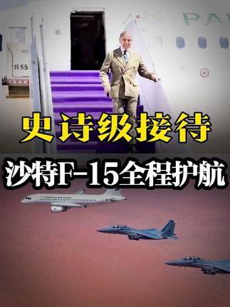 F-15全程护航!巴基斯坦总理获史诗级接待!21响礼炮,全城挂旗,沙特释放重大信号?#巴基斯坦 #沙特 #硬核深度计划 #军武正当燃