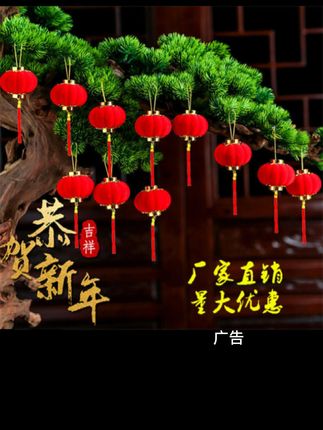 植绒小红灯笼挂件春节节日用品绿植庭院灯笼挂件装饰迷你小灯笼#买它 #点击小黄车直接购买
