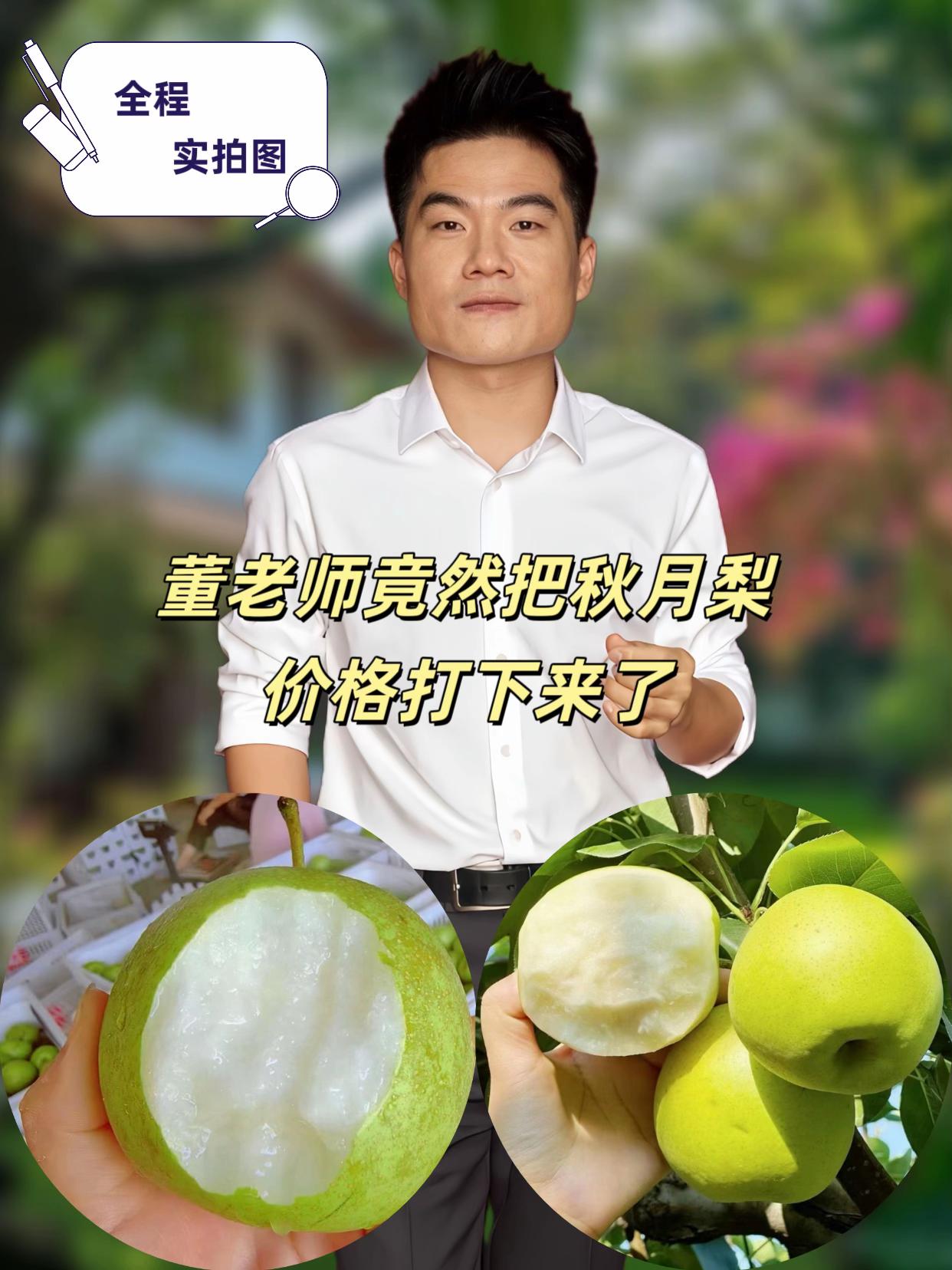 #董老师 #董老师推荐