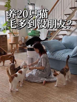 养了20只猫后我就没有朋友了 夸张了夸张了,其实是没有朋友愿意来我家玩了!每次约朋友、她们要么过敏要么洁癖怕猫毛!确实,20只猫➕1兔子,一起掉毛真的太多了,新买的净化器美的小山竹短短一周时间,滤芯就吸满了毛发!家里好几台净化器同时工作着,美的小山竹是宠物专用的,吸附毛发更多,除异味效果也很好,自从它来我家,空气中漂浮的毛发真的少了很多~ #美的宠物空气净化器 #美的小山竹空气净化器 #空气净化器 #美的PET600 #美的小山竹