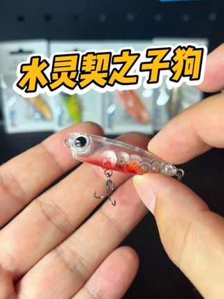 Ima同款水灵契之子狗,一个只卖几块钱,漆水做工、个体大小,入水后的泳姿一样,喜欢水面系假饵的兄弟赶紧拍 #水灵契之字狗 #之子狗 #路亚新手入门 #路亚 #路亚王大宝