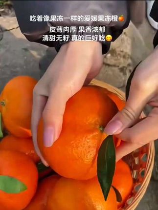 吃着像果冻一样细腻的爱媛果冻橙🍊皮薄肉厚 清甜多汁 果香浓郁,清甜无籽 直接吃或者吸着吃都巨好吃!#新鲜采摘 #应季水果 #爱媛38号果冻橙 #果冻橙 #橙子