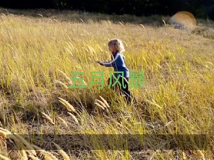 西方五月风暴#历史 #历史故事