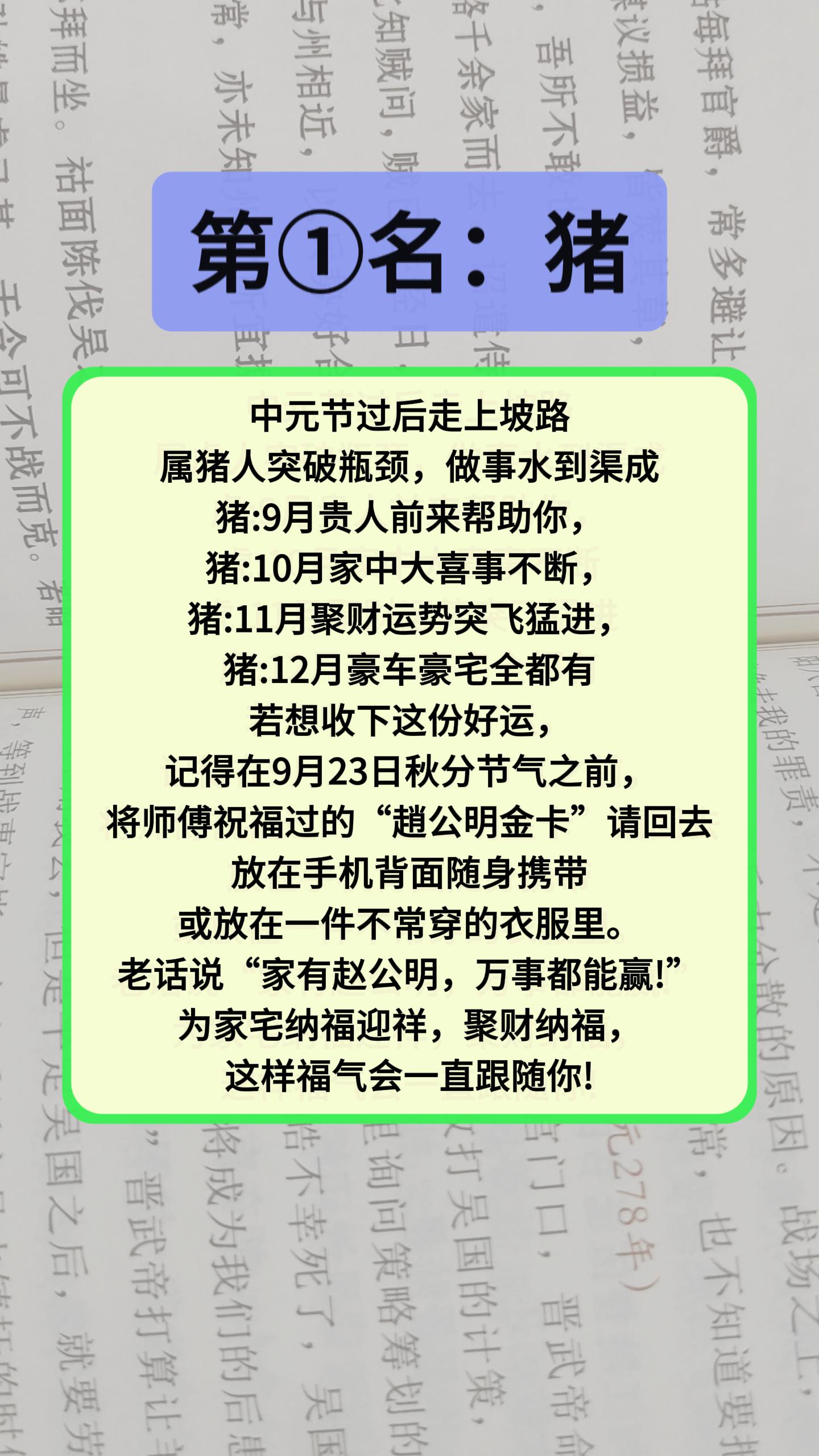 #1971年的猪 #1983年的猪 #1995年属猪