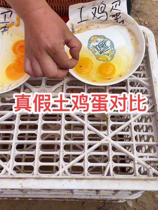 真假土鸡蛋对比 #自产自销土鸡蛋 #真假土鸡蛋辨别方法