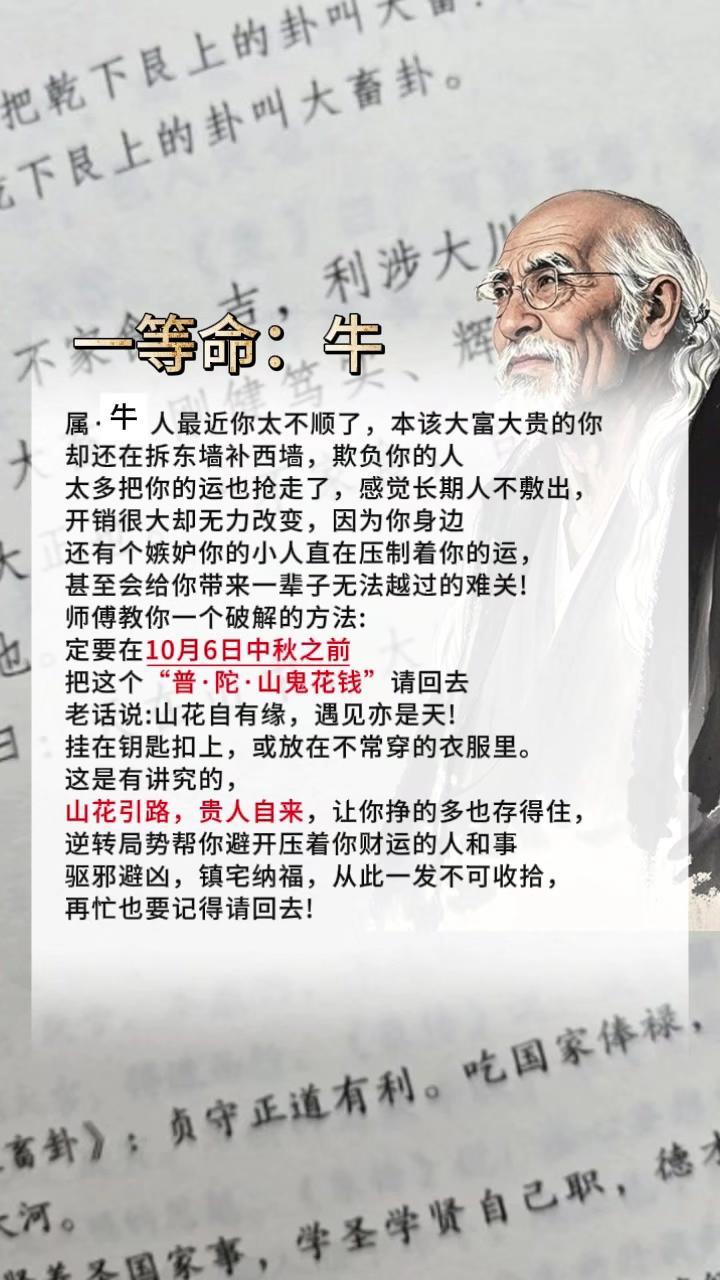 #牛 #属牛 #生肖牛