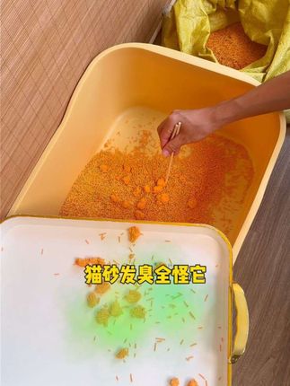 养猫8年,买猫砂就看这2点#猫砂 #萌宠好物 #新手养猫 #猫咪